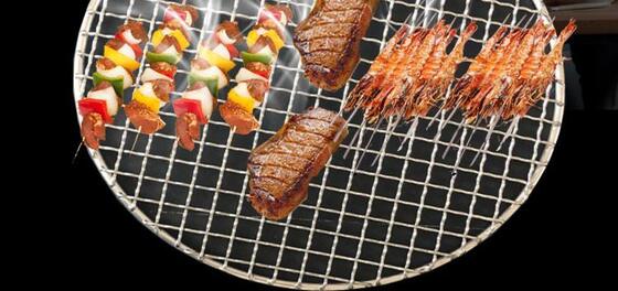Multi-Grill Compatible SS Barbecue Cooking Mesh :  Gas ,  Charcoal ,  Electric