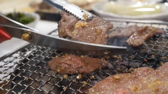 Rust-Proof Coating Stainless Steel Barbecue Net Boosts Service Lifespan