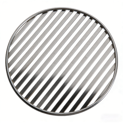 Heat-Resistant SS BBQ Wire Mesh With Durable