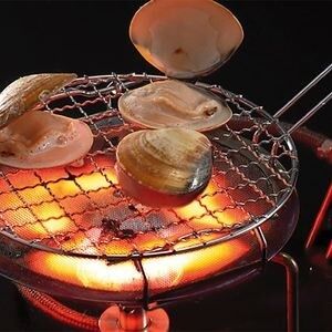 Heat-retention SS BBQ Mesh Screen Keeps Food Warm Longer